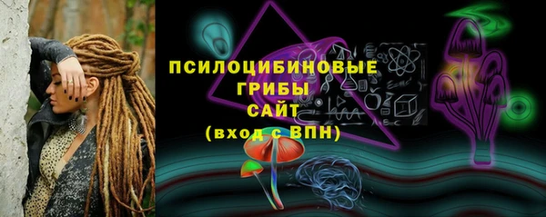 бутират Белокуриха