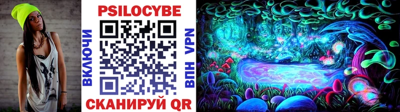 Псилоцибиновые грибы мицелий  где продают наркотики  Теберда 